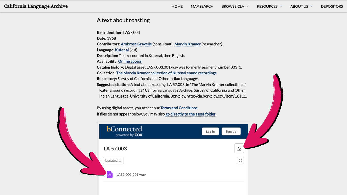 Item description page with pink arrows pointing to the file name and download buttons in the embedded bConnected Box page
